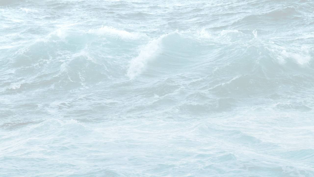 Section Background